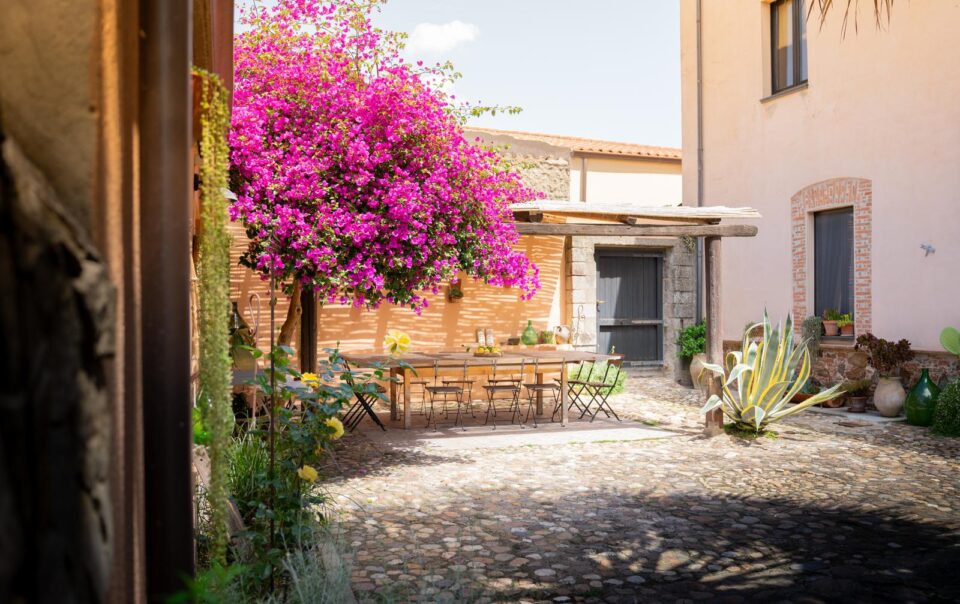Is Scabas giardino