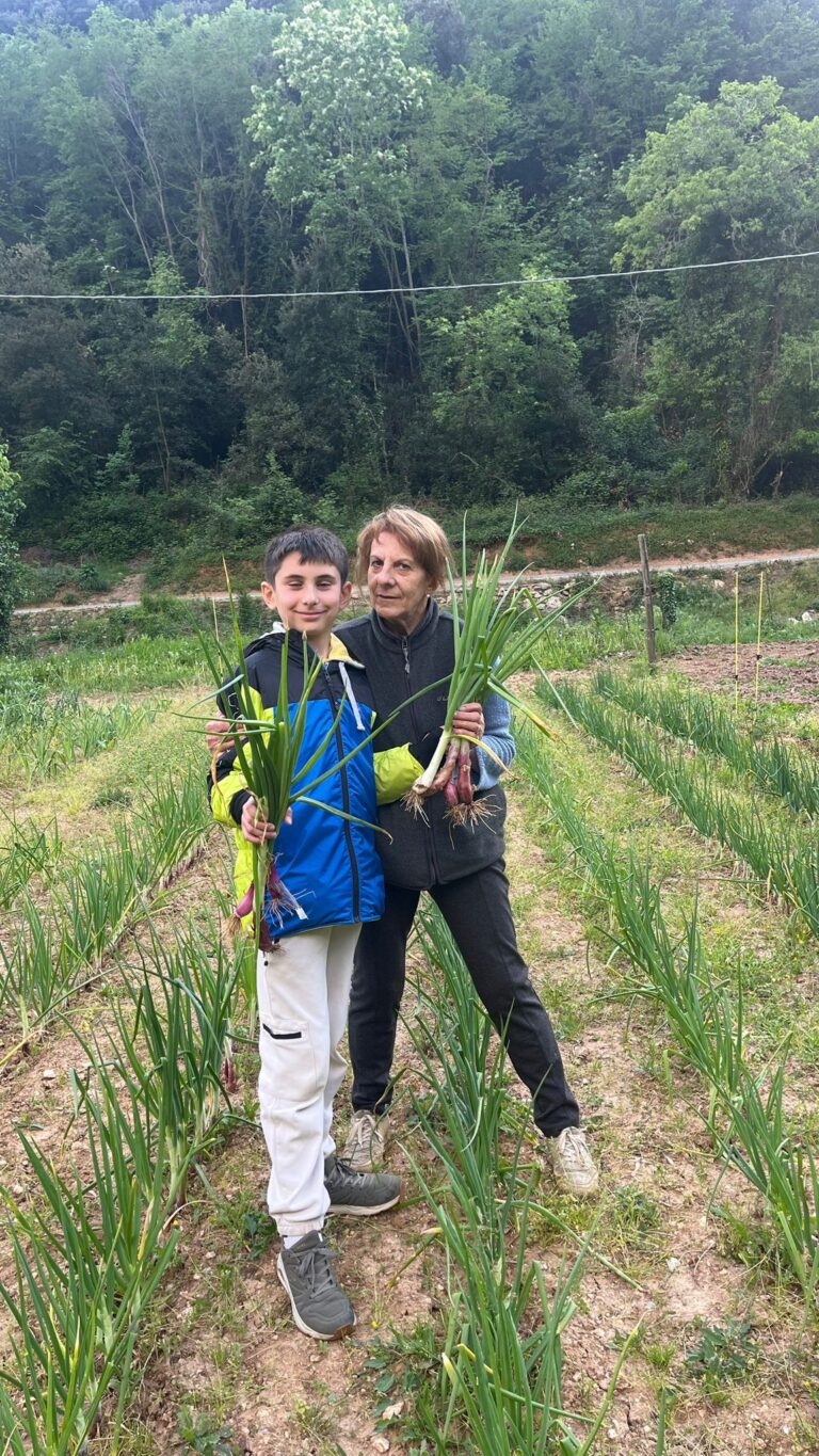 agriturismo alveare prodotti orto