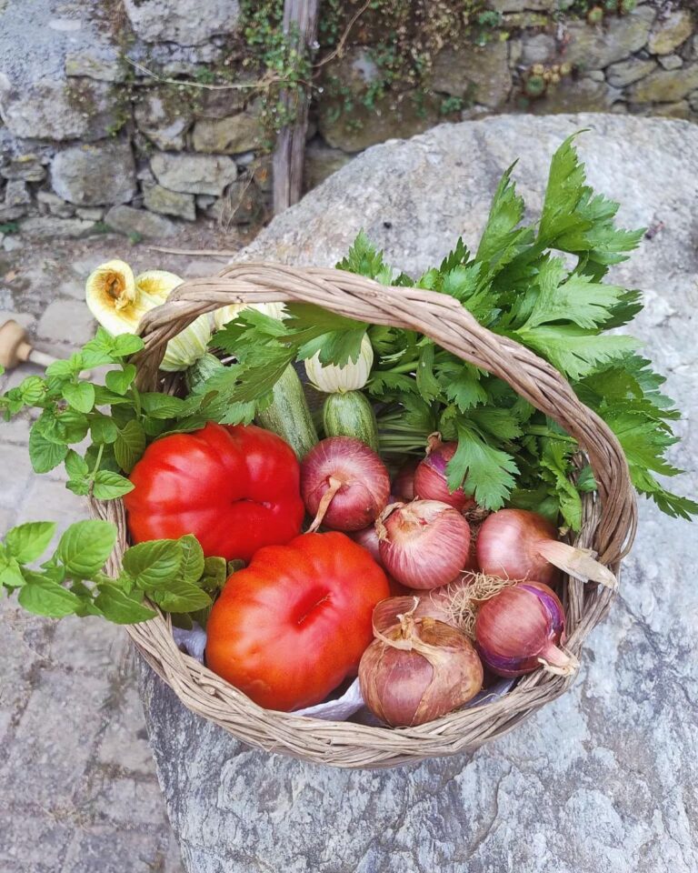 agriturismo alveare prodotti orto